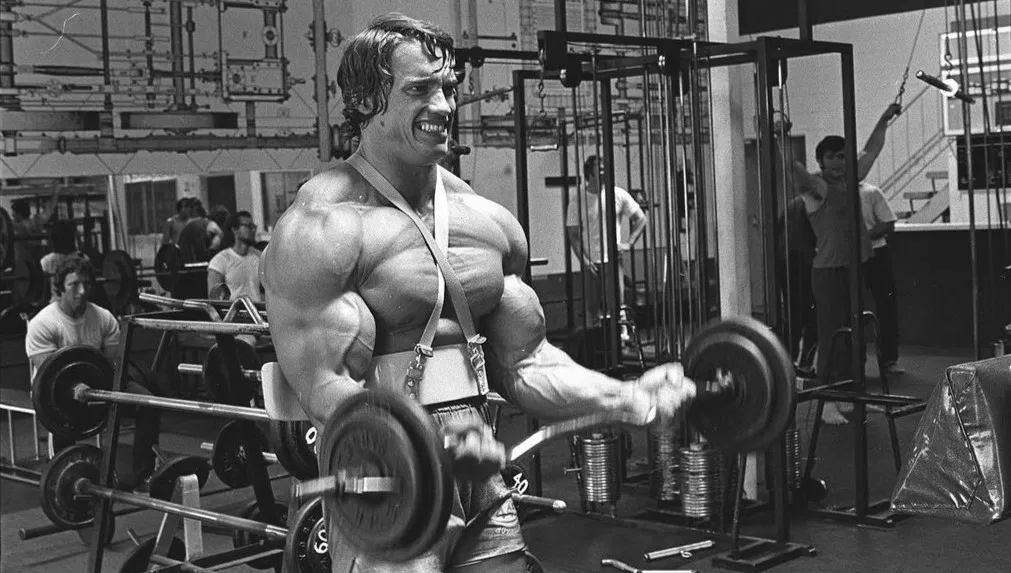arnold schwarzenegger 28